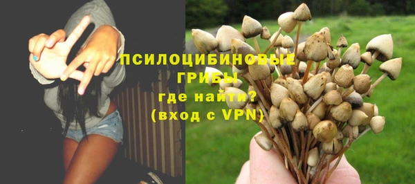 ешки Саяногорск