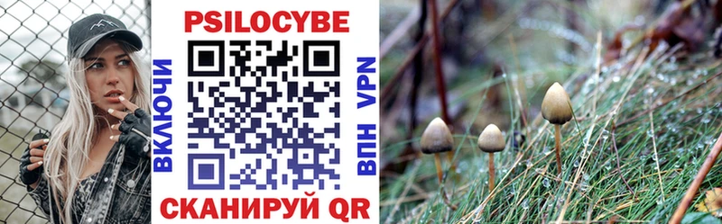 даркнет формула  Онега  Псилоцибиновые грибы Psilocybe 